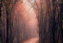 开云体育中国-100T力克DRX，Gumayusi统治全场：英雄之战的精彩瞬间