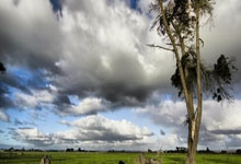 开云下载-日本羽毛球队勇夺胜利，马琳关键制胜带领团队迈向辉煌