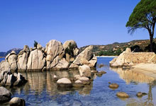 开云体育下载-日本羽毛球队强势击败韩国羽毛球队，马琳助攻展现绝佳默契