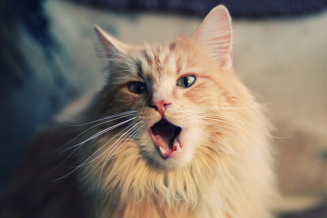 世界排名争夺战上演惊天逆转！雷恩末节暴走粉碎丹麦神话